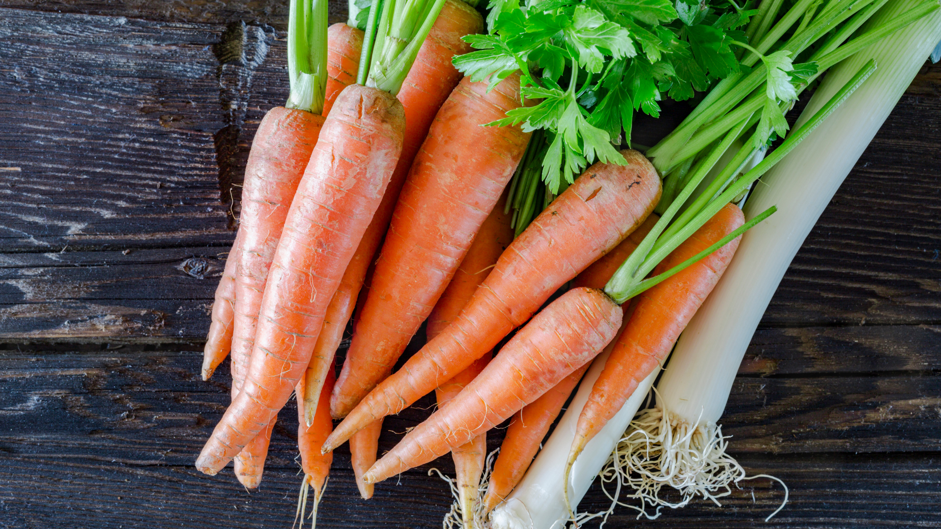 carottes poireaux